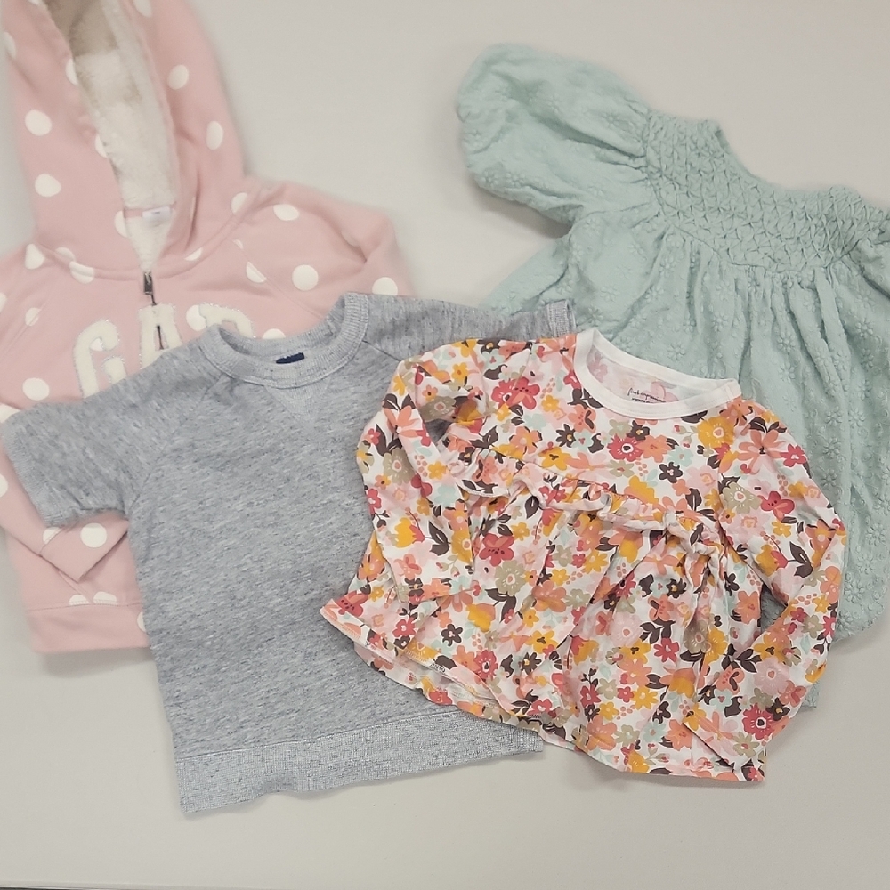 LOT of 4 Kids 2t-3t Floral, Gray, and Pink Hoodie Set